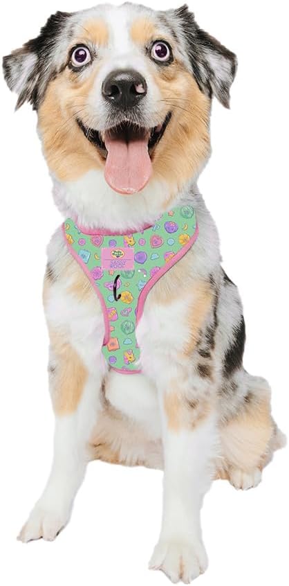 Dog Adjustable Harness - Breathable Mesh, No Pull Design