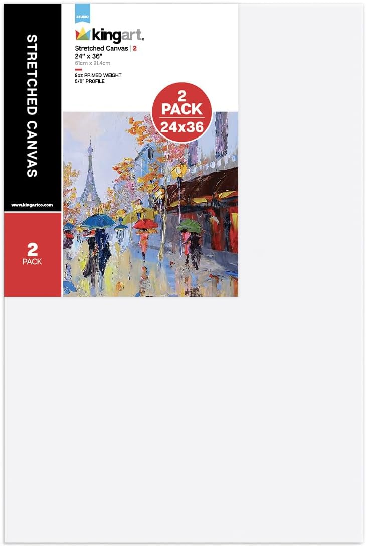Large 24in x 36in Stretched Artist Canvases for Painting