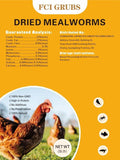Dried Mealworms 5LB High Protein Chicken Feed - Natural Snack