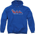 LOGOVISION Primary Logo Distressed Hoodie for College Supporters