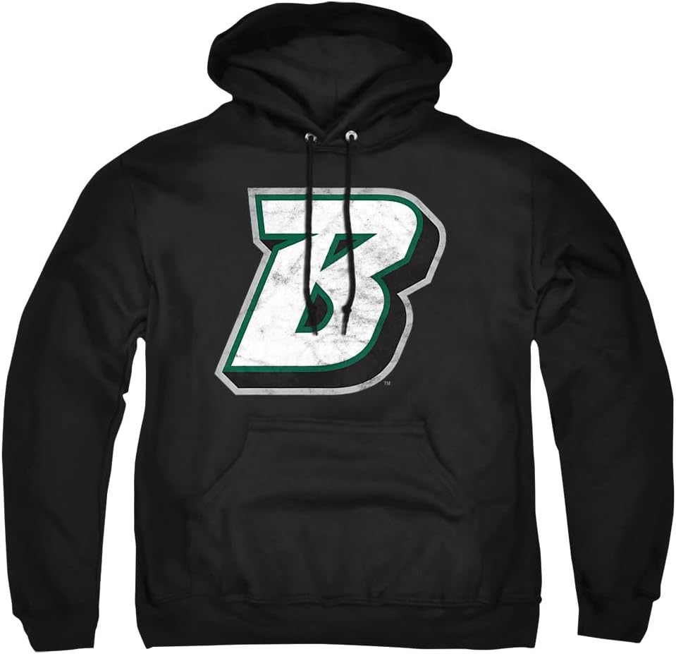 Official Collegiate Distressed Primary Logo Hoodie for Fans