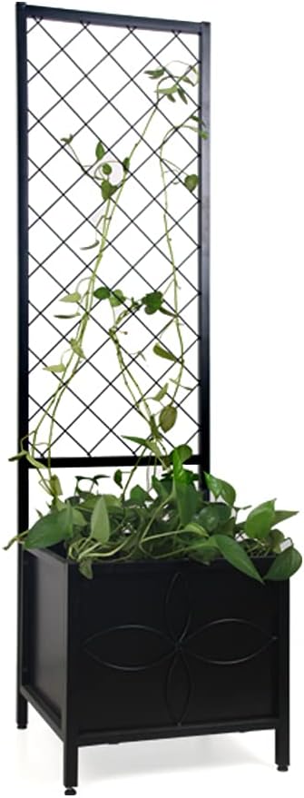 Raised Garden Bed with Trellis for Climbing Plants and More