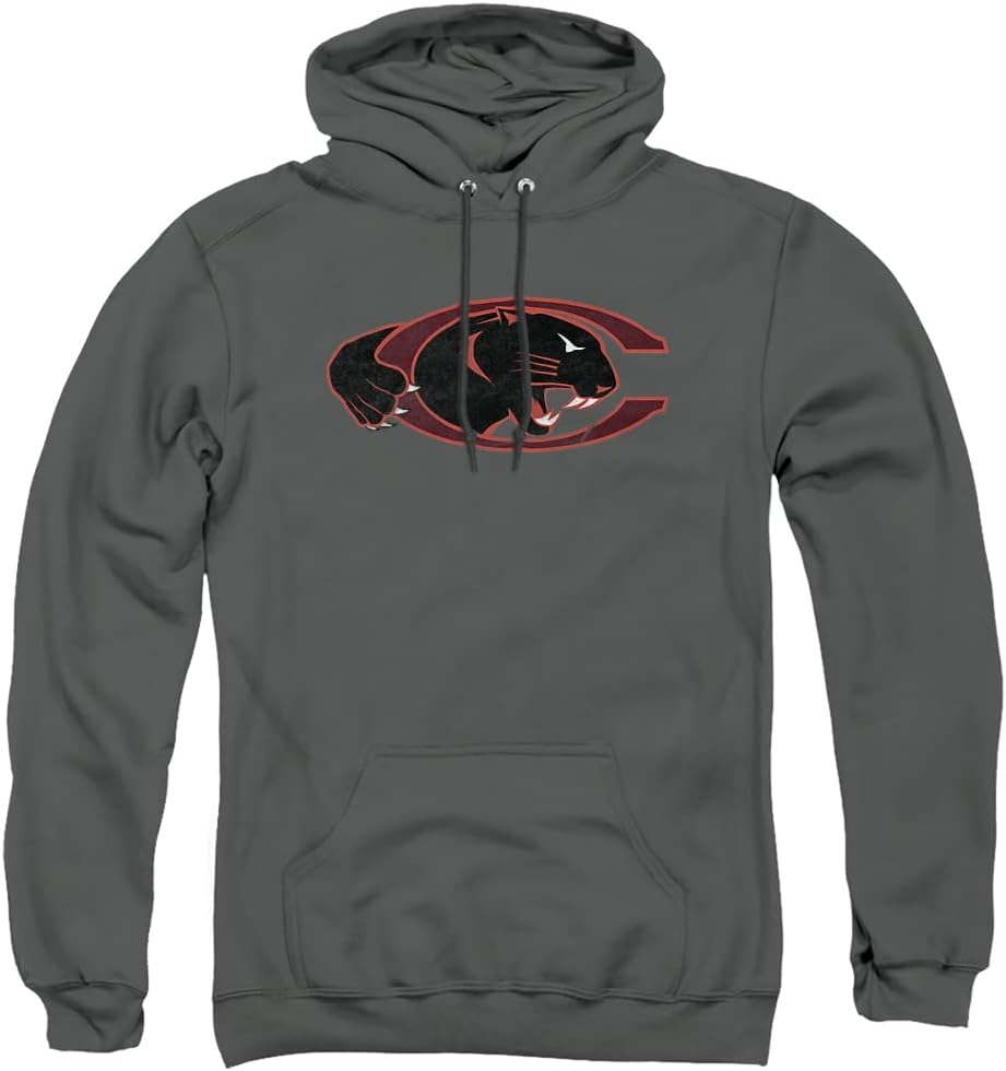 LOGOVISION Collegiate Distressed Primary Logo Hoodie Collection