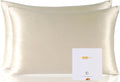 Mulberry Silk Pillowcase 2 Pack - 19 Momme Grade 6A Luxury