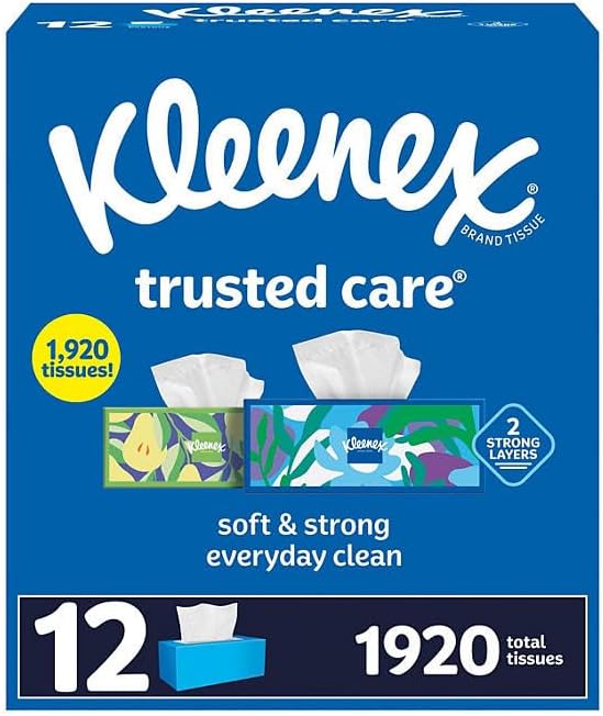 Kleenexx Facial Tissues 2-Ply Bulk Pack for Family Care