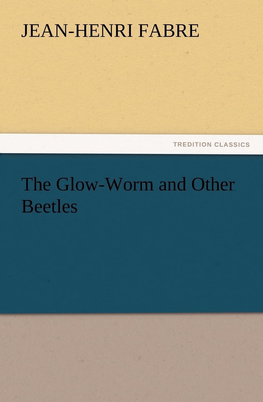The Glow-Worm and Other Beetles - An Engaging Exploration