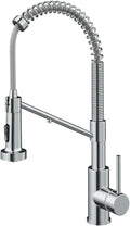 Kraus Bolden 2-in-1 Pull-Down Sink Filter Faucet - Dual-Line Filter