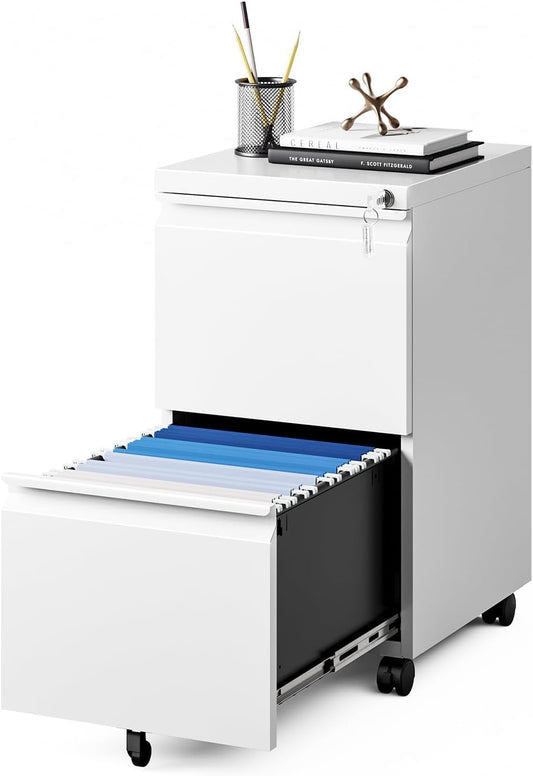 MIIIKO Mobile File Cabinet with 2 Drawers for Home Office Use