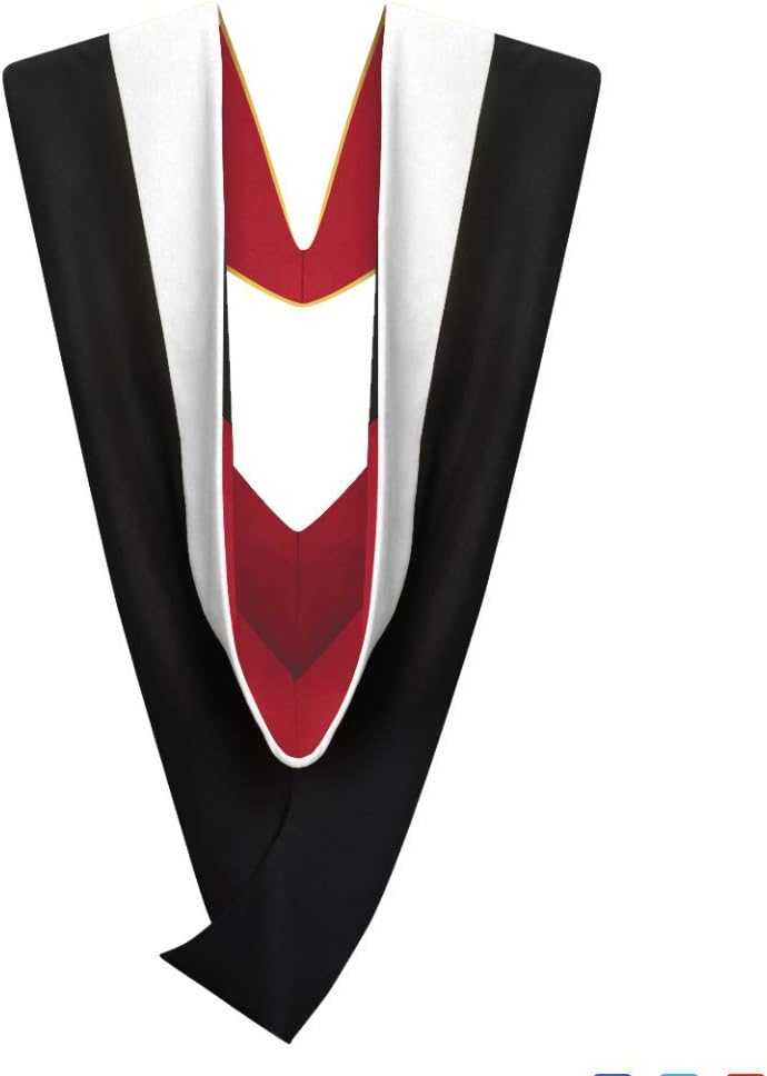 Cappe Diem Master Graduation Deluxe Hood for Academic Success