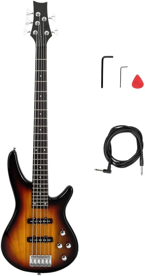 Ktaxon 5 String Electric Bass Guitar Kit with Gig Bag and Tools