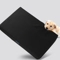 Indestructible Dog Bed - Chew Proof Crate Bed for Medium Dogs