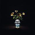 Renewal Vinyl LP by Rounder - Billy Strings and Listening Notes