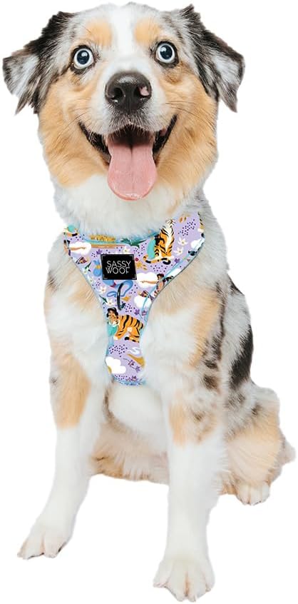 Sassy Woof Dog Adjustable Harness - Disney Princess Aladdin