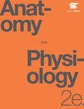 Anatomy and Physiology 2e Paperback - Official OpenStax Print