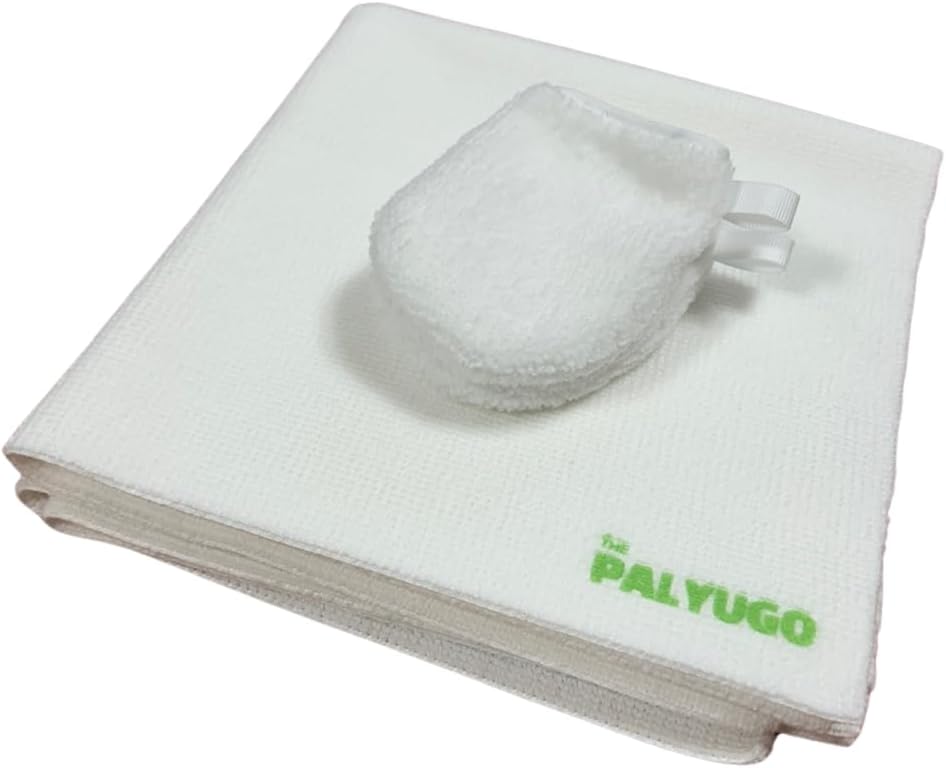 Streak-Free Window Cleaning Kit - Palyugo Supply