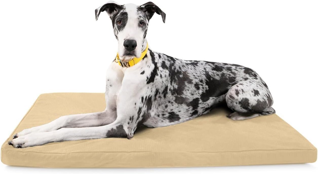 K9 Ballistics Tough Rip-Stop Orthopedic Dog Bed for Comfort