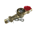 DAE MJ-200R 2 in Non Lead Hot Water Meter - Accurate Inline Pulse