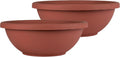 Shallow Planter Bowl with Drainage - Contemporary Round Succulent Pot