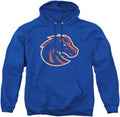LOGOVISION Collegiate Distressed Primary Logo Pullover Hoodie BOISE
