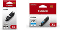 Canon PGI-250XL Black + CLI-251XL Cyan Ink Cartridges Compatible