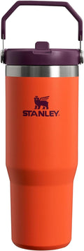 Stanley IceFlow Flip Straw Tumbler 30 oz - Long Cold Retention