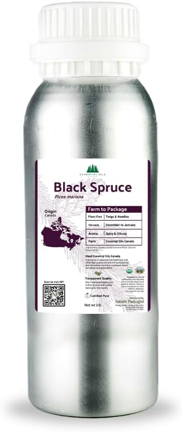 Organic Black Spruce Essential Oil for Candle Scent and More