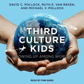 Third Culture Kids: Growing Up Among Worlds, Third Edition Review