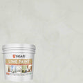 VASARI Lime Plaster Paint in Golden Grey #23 - 1 Gallon Size