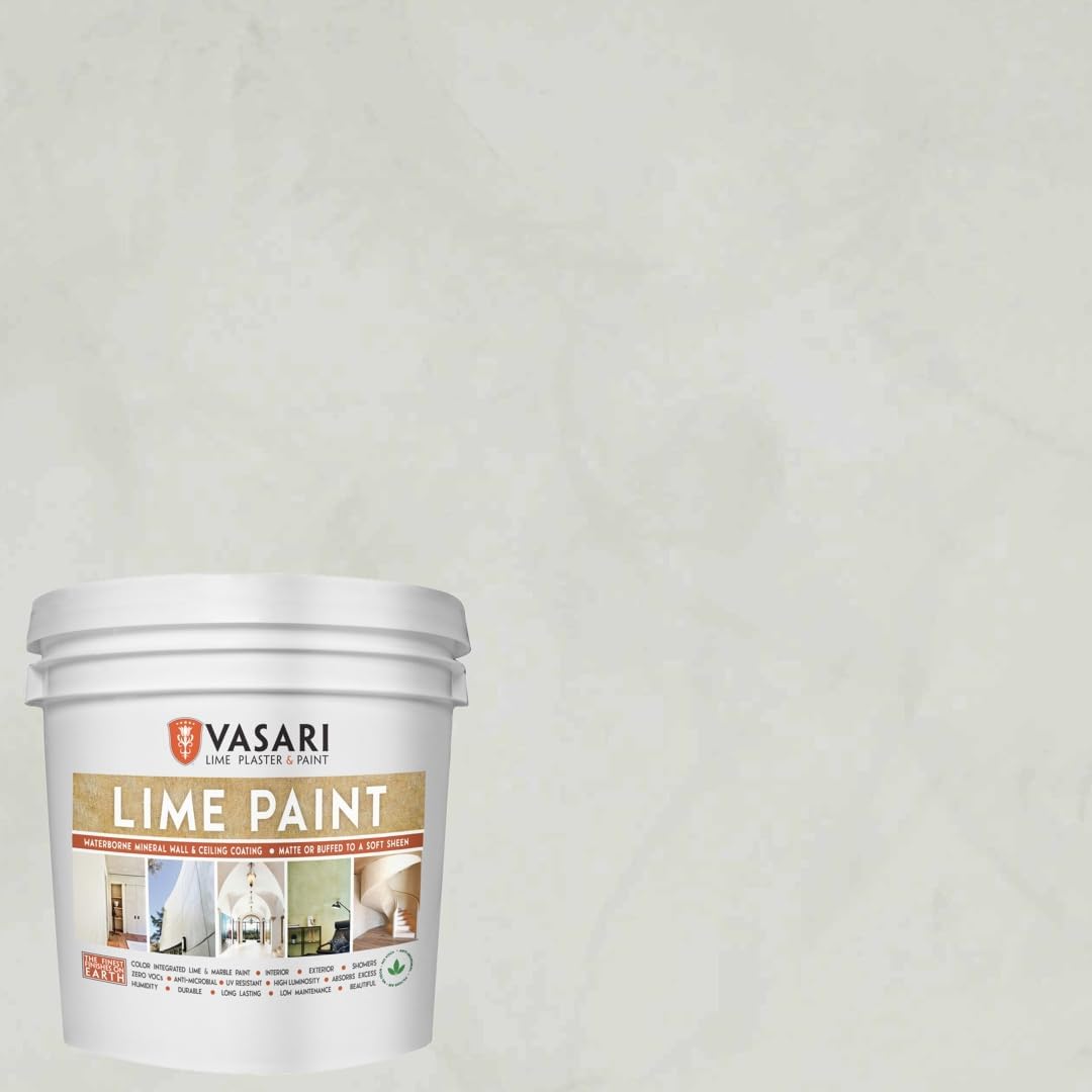 VASARI Lime Plaster Paint in Golden Grey #23 - 1 Gallon Size