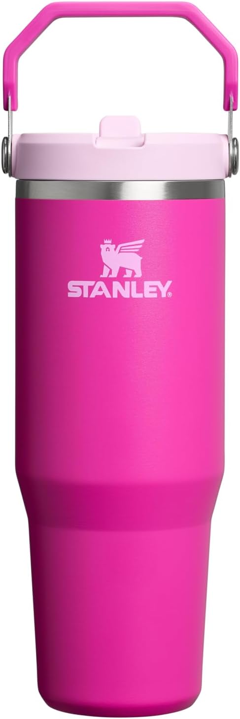 Stanley IceFlow 2.0 Flip Straw Tumbler 30 oz for Hydration