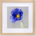 24x24 Picture Frame Natural Wood Color - Clean Wall Display
