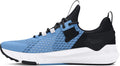 Project Rock Blood Sweat Respect 4 Women's Training Sneaker