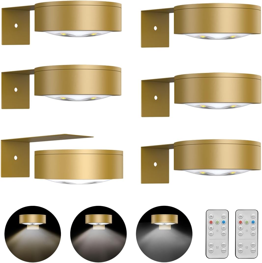 Battery Operated Picture Light with Remote and Dimmable Timer