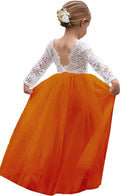 Flower Girl Dress for Toddler Baby Girls - Lace Tulle Special Occasion