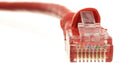 Cat6 Ethernet Cable 75 ft Red - Reliable Gigabit Patch Cable