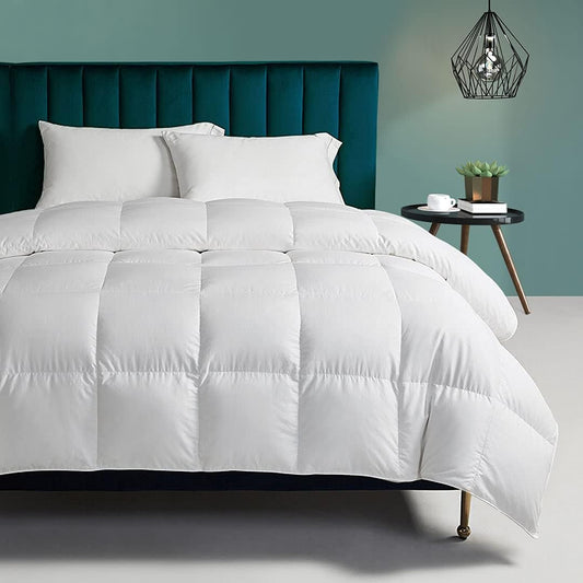Organic Feathers Down Comforter Twin Size for All Seasons