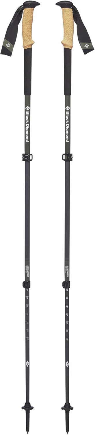 Black Diamond Carbon Trekking Poles - Lightweight Stability