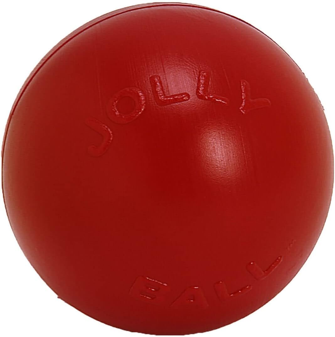 Jolly Pets Push-n-Play Ball Dog Toy for All Breed Sizes