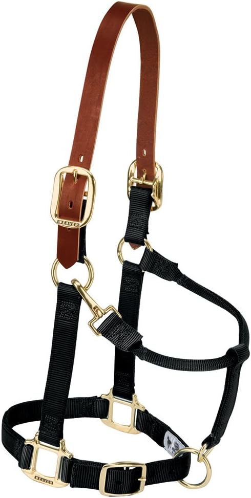 Breakaway Horse Halter with Supple Leather Crown for Horses