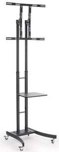 Mobile LCD TV Stand with Locking Casters - Fits 32 to 65 in