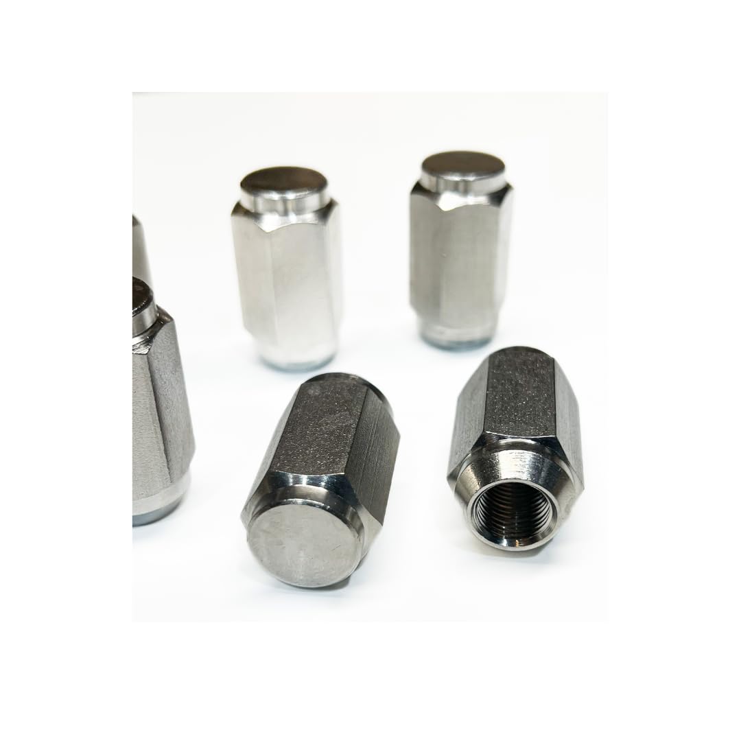 Acorn Lug Nuts 1/2in-20 Thread Stainless Steel for Trailers