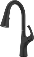 Pfister Talega Pull-Down Kitchen Faucet in Matte Black - Easy Install