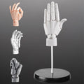 Articulated Hand Model for Drawing & Anime Sketching - Flexible