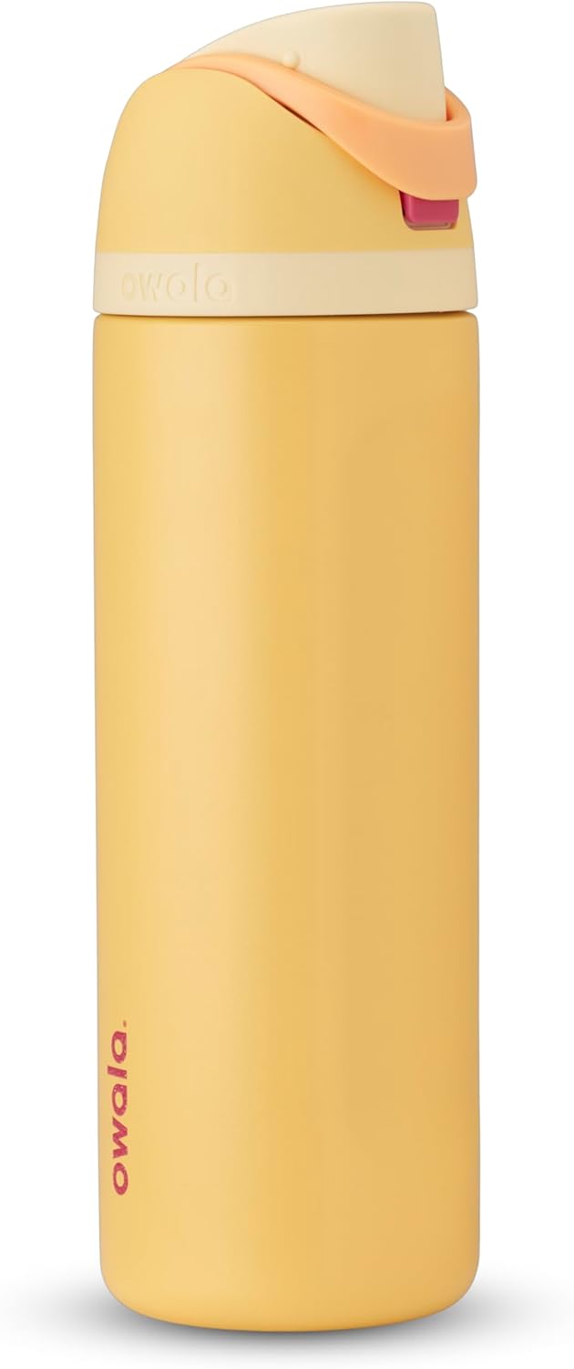 Owala Disney Princess FreeSip Insulated Water Bottle for Travel