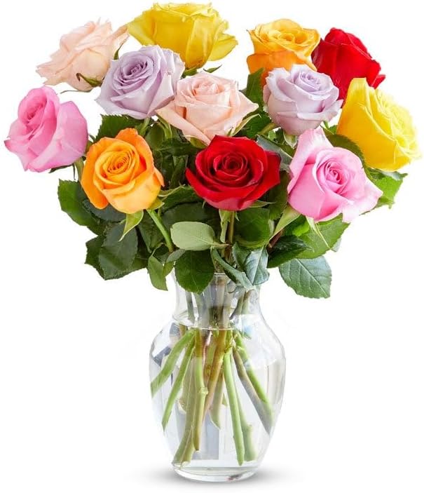One Dozen Rainbow Roses with Glass Vase for Every Occasion