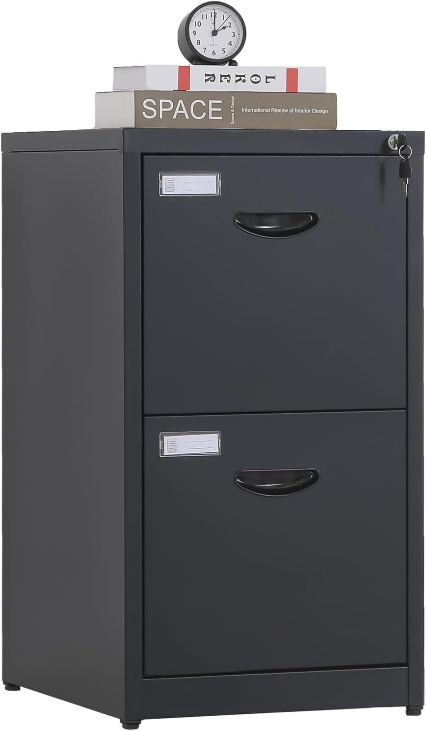 2 Drawer File Cabinet with Lock for Secure Office Storage