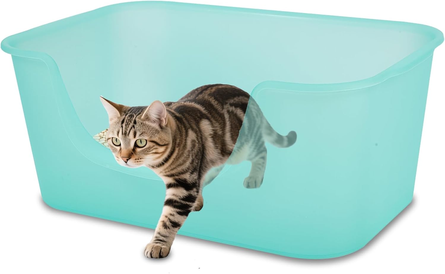 Large Cat Litter Box with High Sides for Multi Cats Indoor