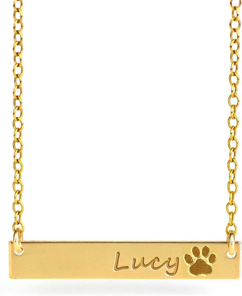 Custom Engraved Pet's Name & Paw Print Necklace for Pet Lovers