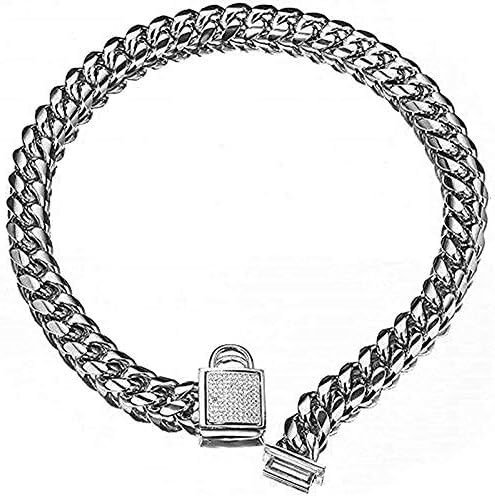 Top Stainless Steel Dog Chain Training Collar for Your Pet