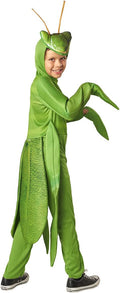 Seasons Child Praying Mantis Costume - Cute Neon Bug Outfit